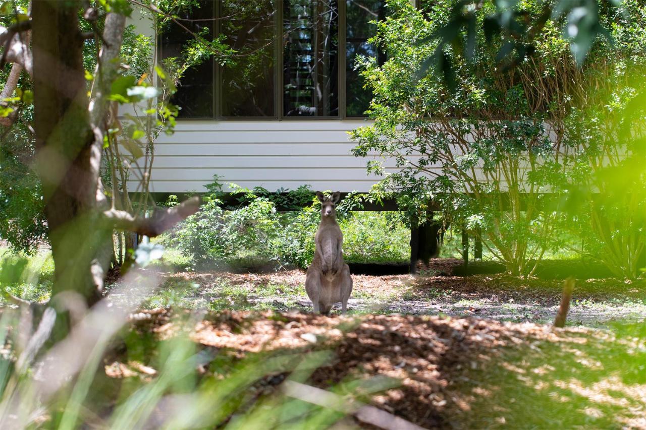 Eumarella Shores Noosa Lake Retreat Noosaville Exteriér fotografie