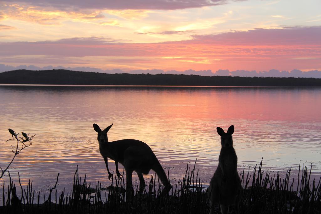 Eumarella Shores Noosa Lake Retreat Noosaville Exteriér fotografie