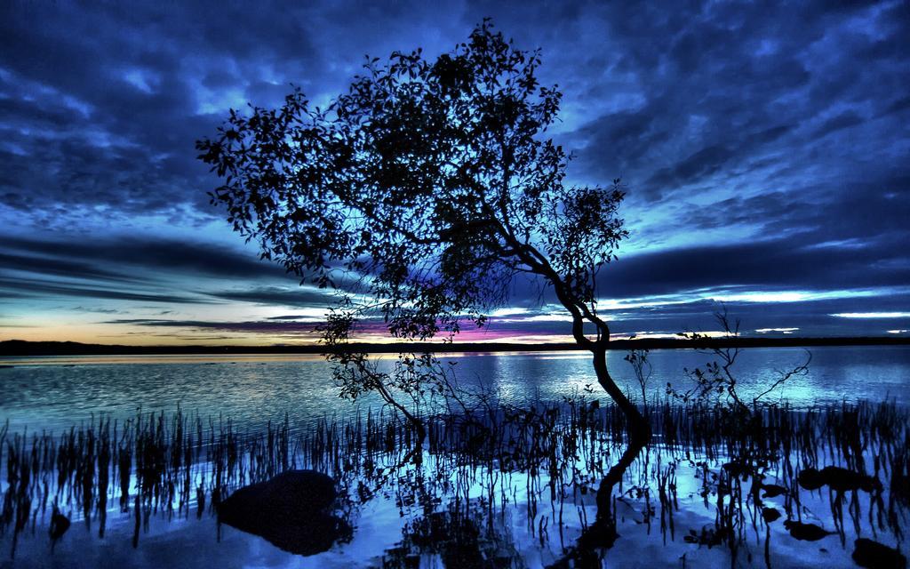 Eumarella Shores Noosa Lake Retreat Noosaville Exteriér fotografie